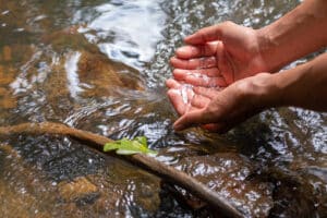 Hands drawing fresh, pure water from the spring. Delicious drinking water from the mountains in nature thanks to irrigation wells saving municipal water usage. 