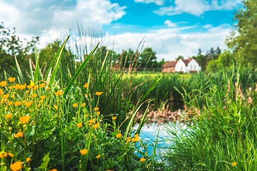 House next to pond, consider ponds for private water wells.