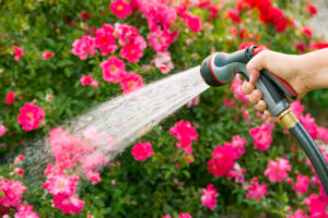 Watering flowers with hose-water well pump replacement-JB Water Well